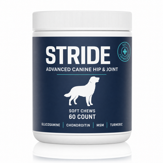 Stride — Advanced Hip & Joint Soft Chews for Dogs
