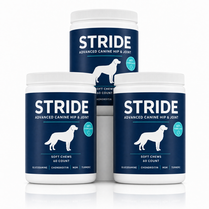 Stride — Advanced Hip & Joint Soft Chews for Dogs